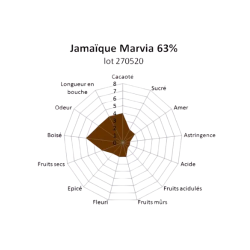 Chocolaterie Morin Marvia 63% chocoladereep 100g puur honing