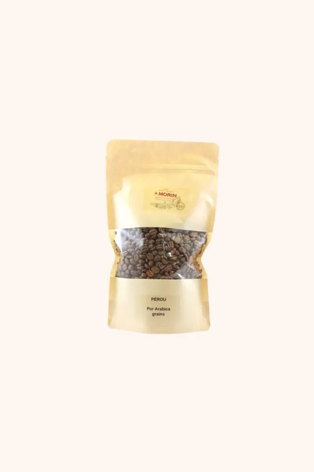 Chocolaterie Morin Sanchirio Palomar koffiebonen 300g friszuur