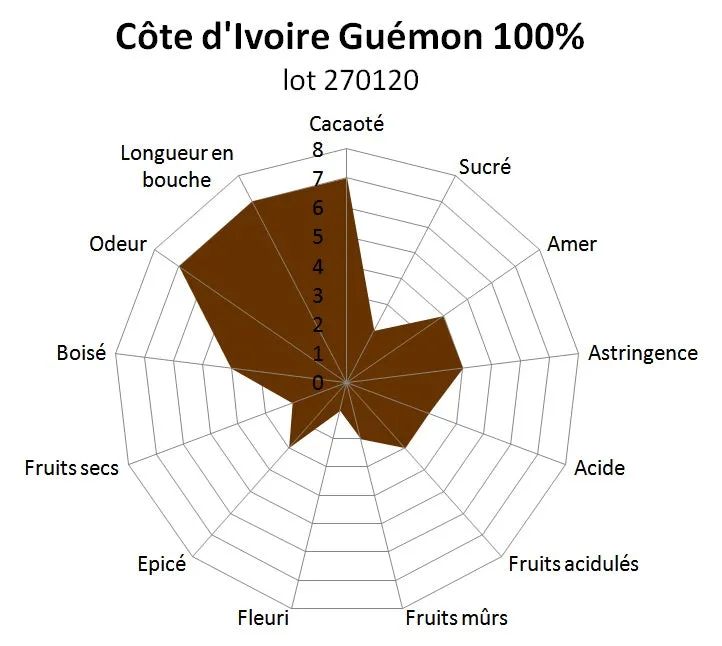 Chocolaterie Morin Ivoorkust Guemon 100% pastareep 100g puur