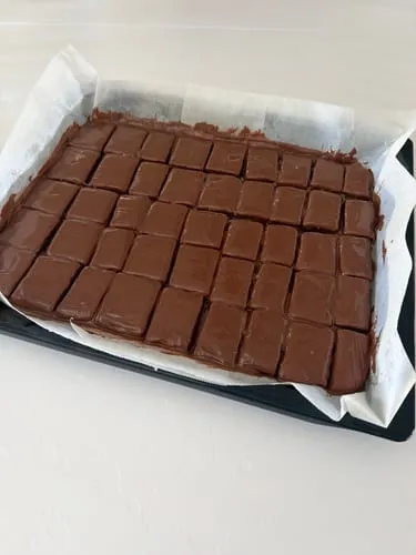 Malmö Chokladfabrik Vegan Mylk 48% couverture 5kg kokos