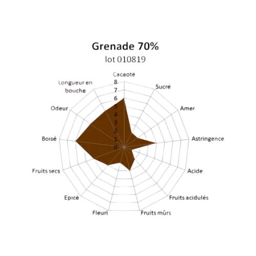 Chocolaterie Morin Arawaks 70% pure chocoladereep 100g cacaorijk