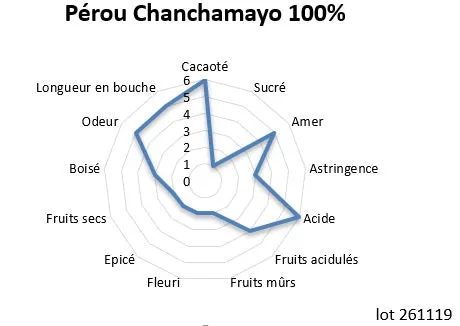 Chocolaterie Morin Peru Chanchamayo 100% BIO tablet 100g puur
